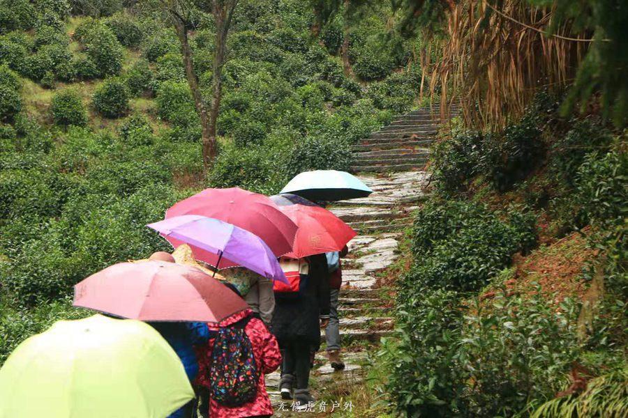 微信图片_20190302204342