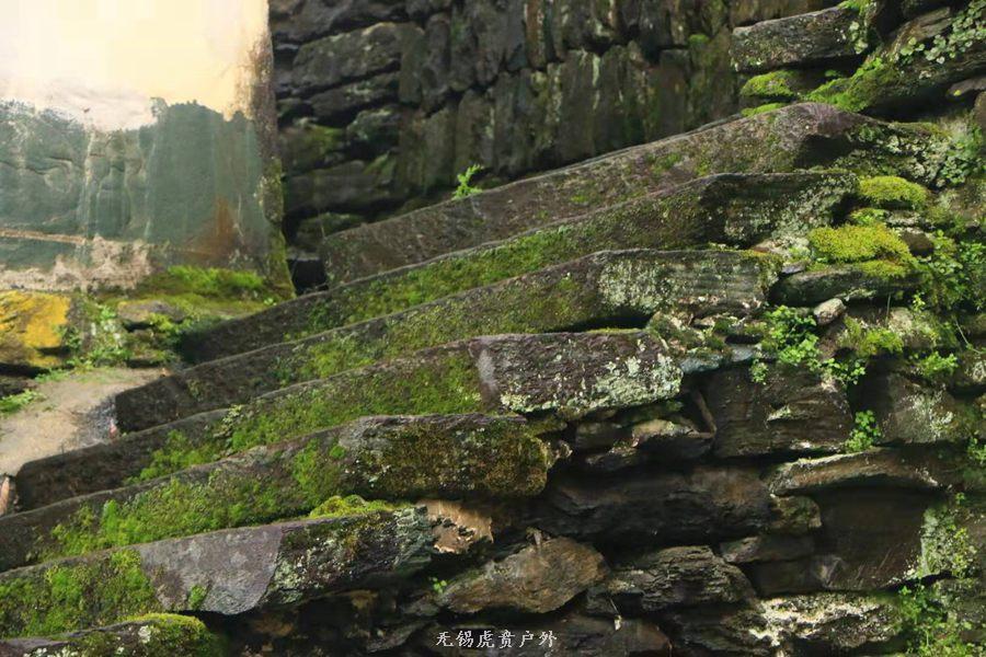 微信图片_20190302204408