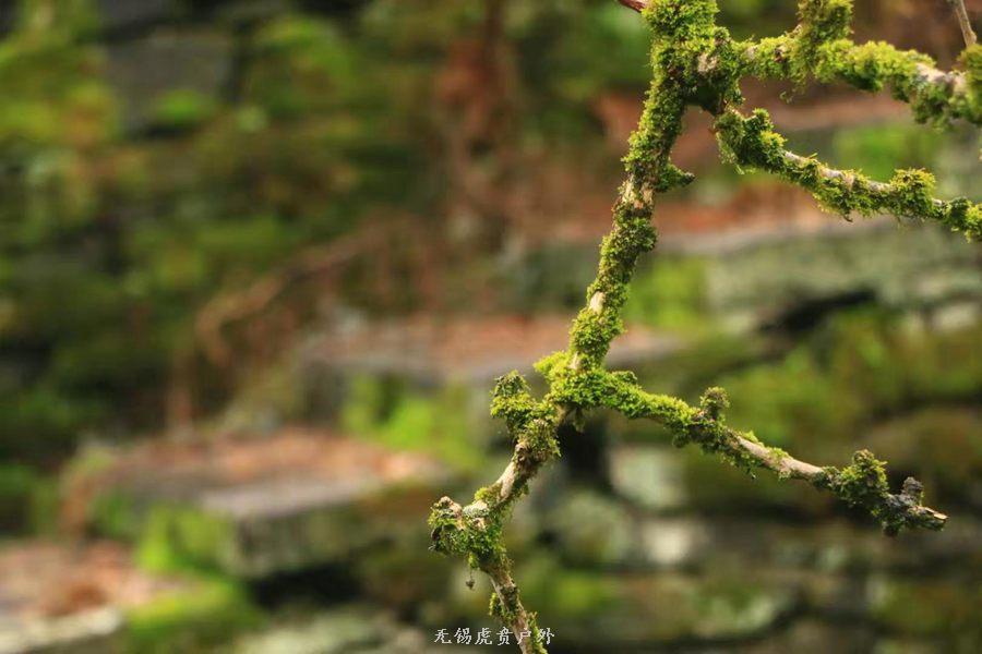 微信图片_20190302204423