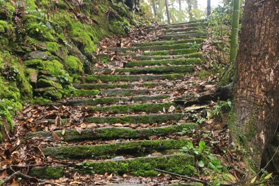 微信图片_20190302204457