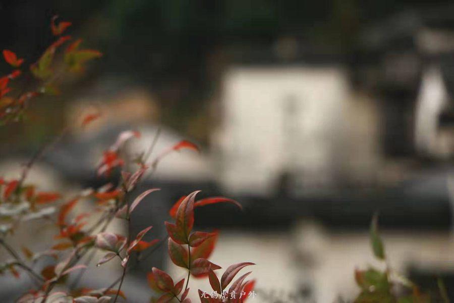 微信图片_20190302204504