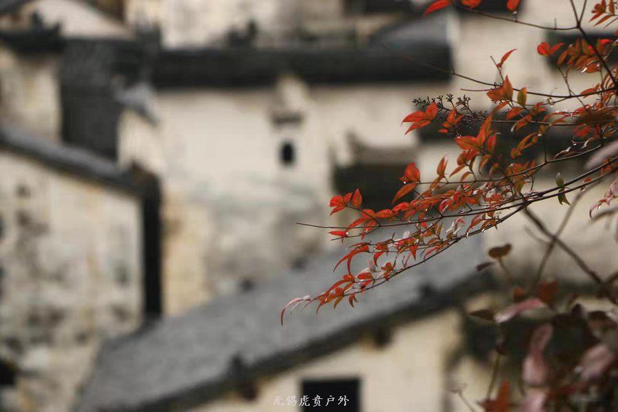 微信图片_20190302204515