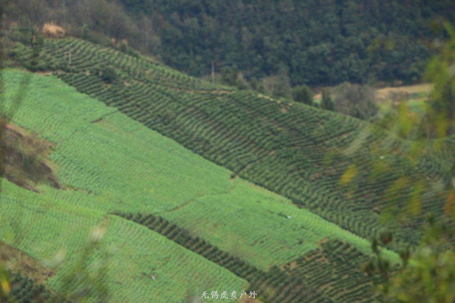 微信图片_20190302204525