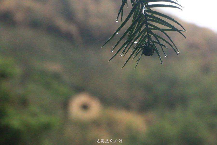 微信图片_20190302204544