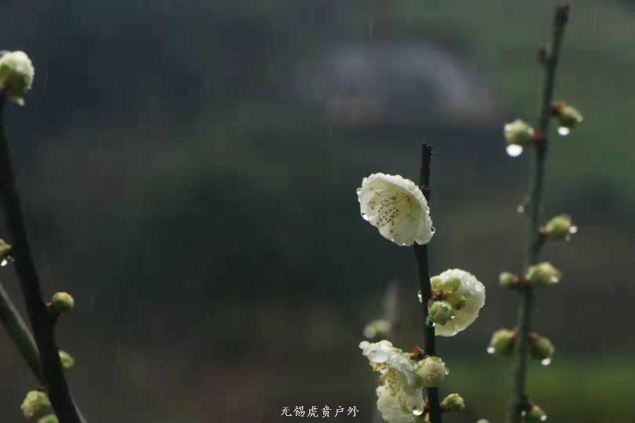 微信图片_20190303164140