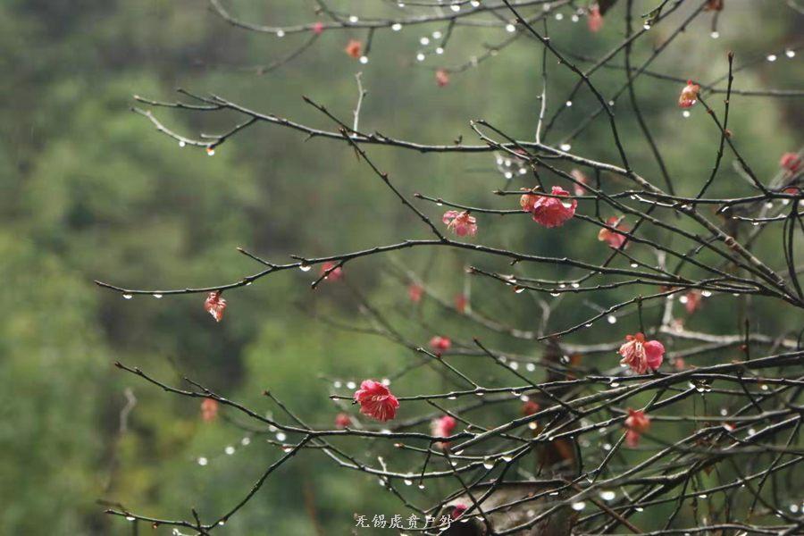 微信图片_20190303164203