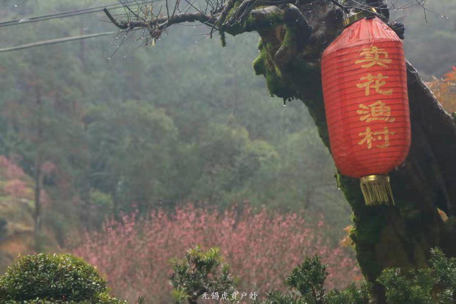 微信图片_20190303164227