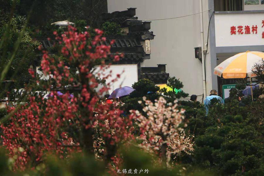 微信图片_20190303164231