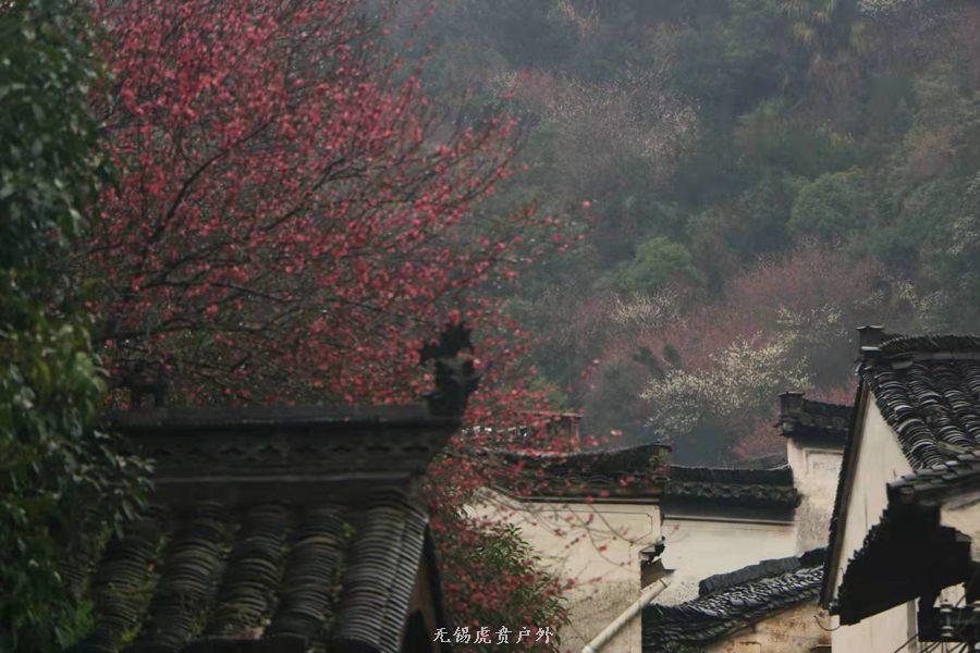 微信图片_20190303164239