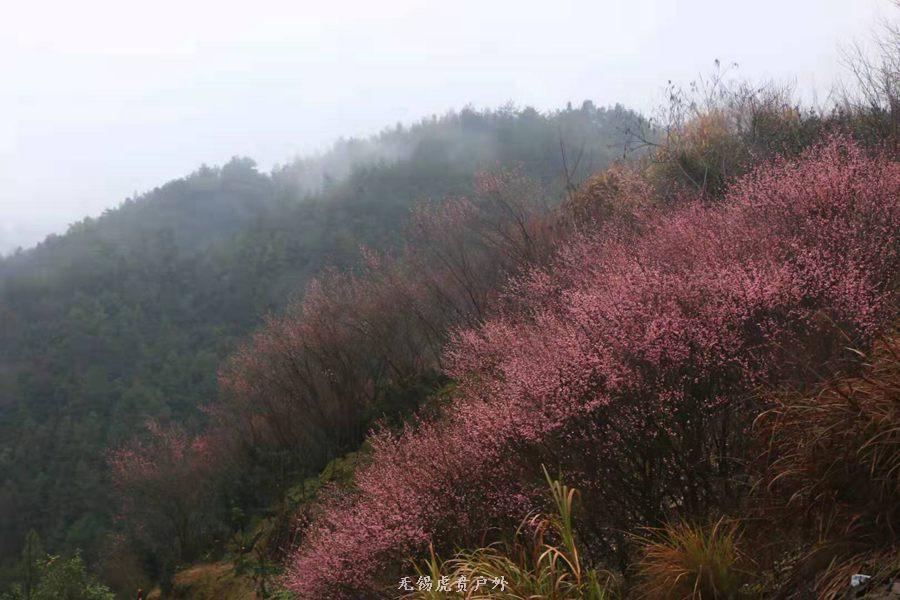 微信图片_20190303164244