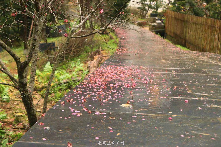 微信图片_20190303164253