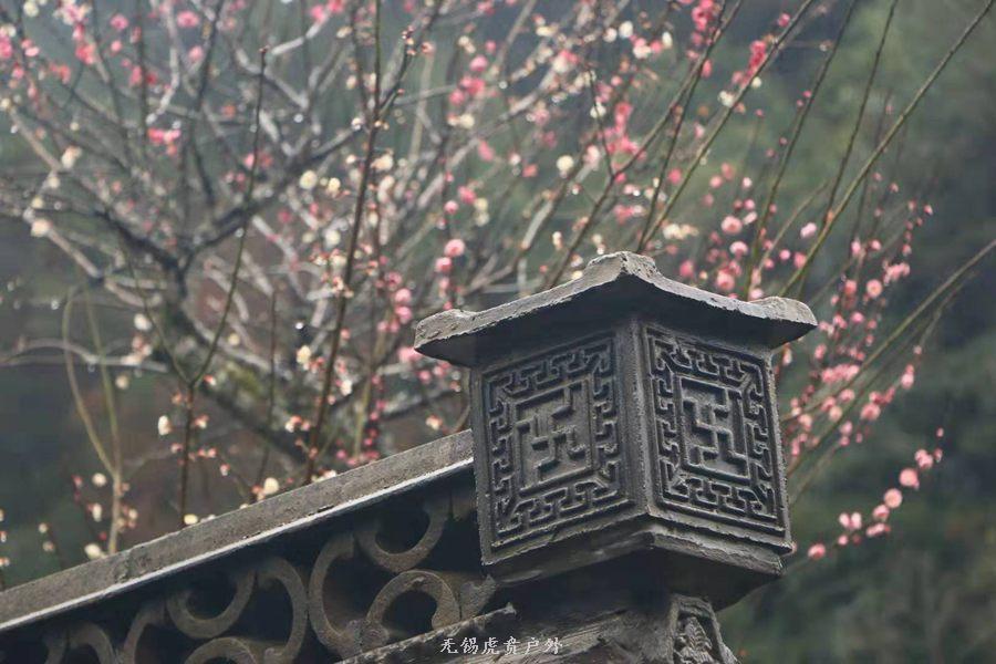 微信图片_20190303164257