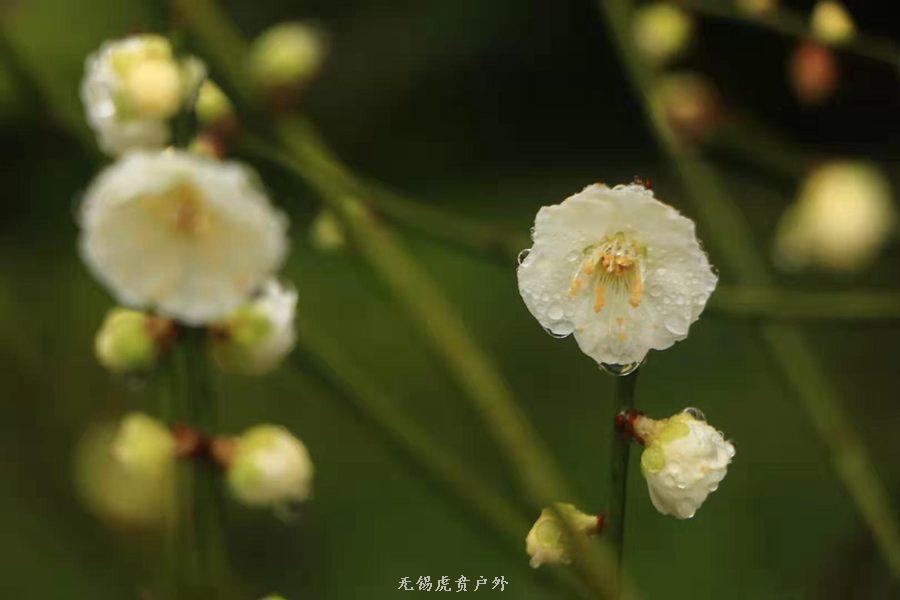 微信图片_20190303164303