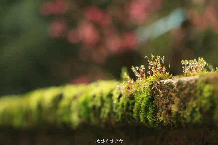 微信图片_20190303164308