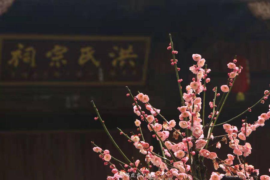 微信图片_20190303164313