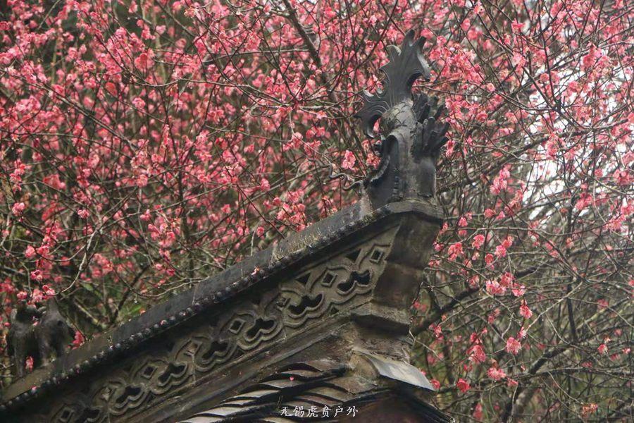 微信图片_20190303164316