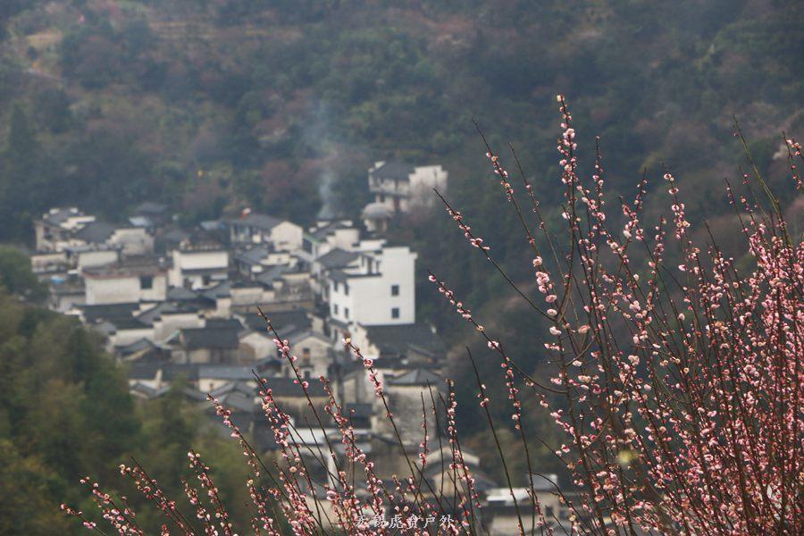 微信图片_20190303164322