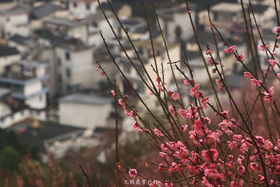 微信图片_20190303164327