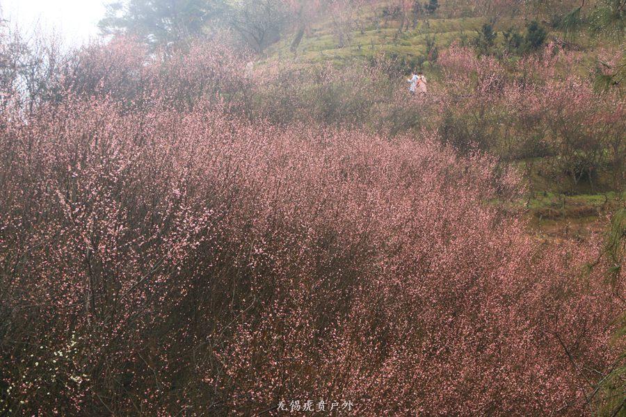 微信图片_20190303164345