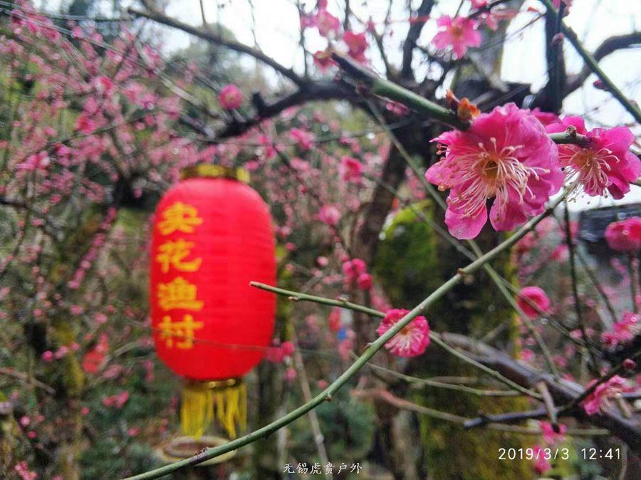 微信图片_20190303164351