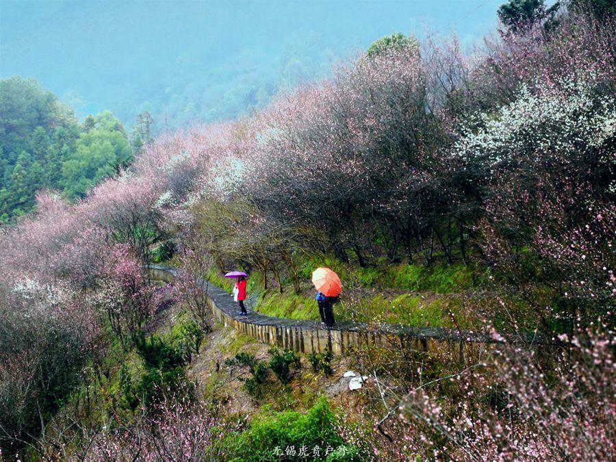 微信图片_20190303164408