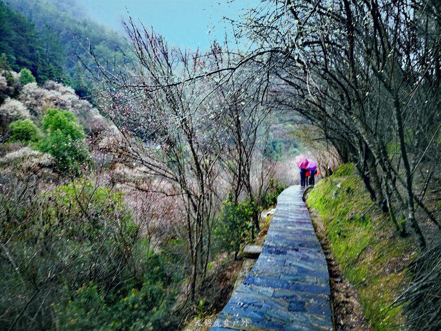 微信图片_20190303164532