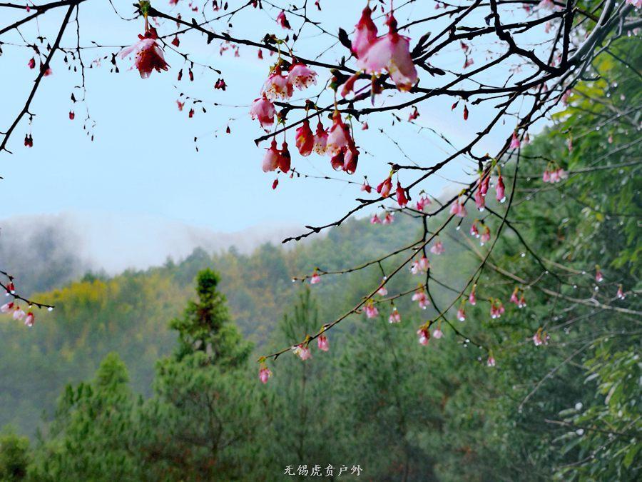 微信图片_20190303164919