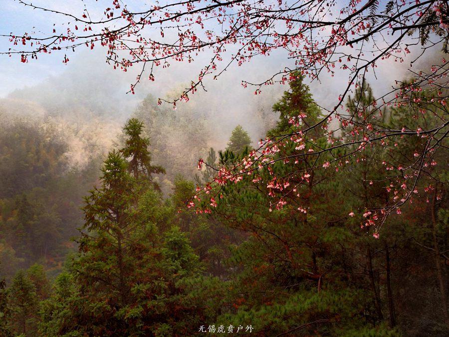 微信图片_20190303164925