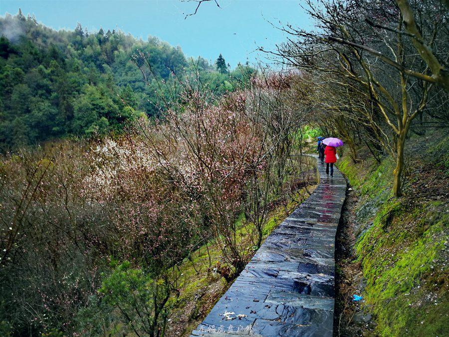 微信图片_20190303164509