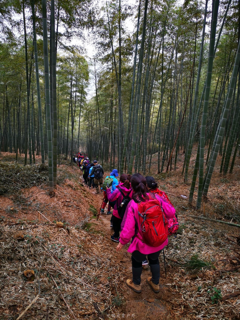 微信图片_20190303165407