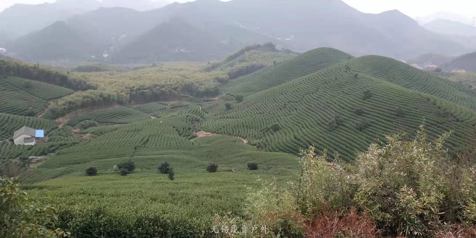 微信图片_20190303170754