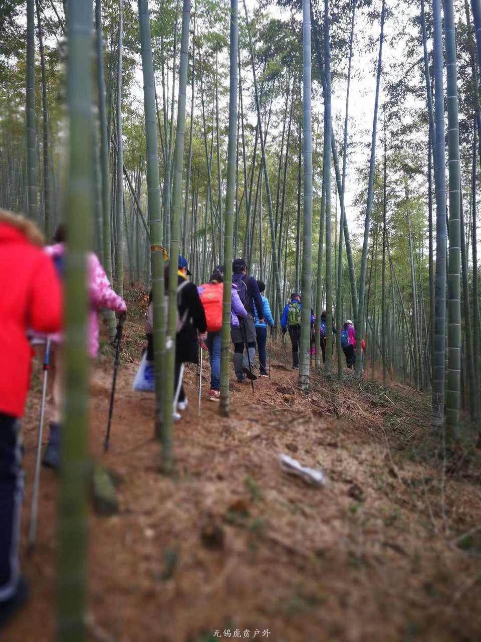 微信图片_20190303170802