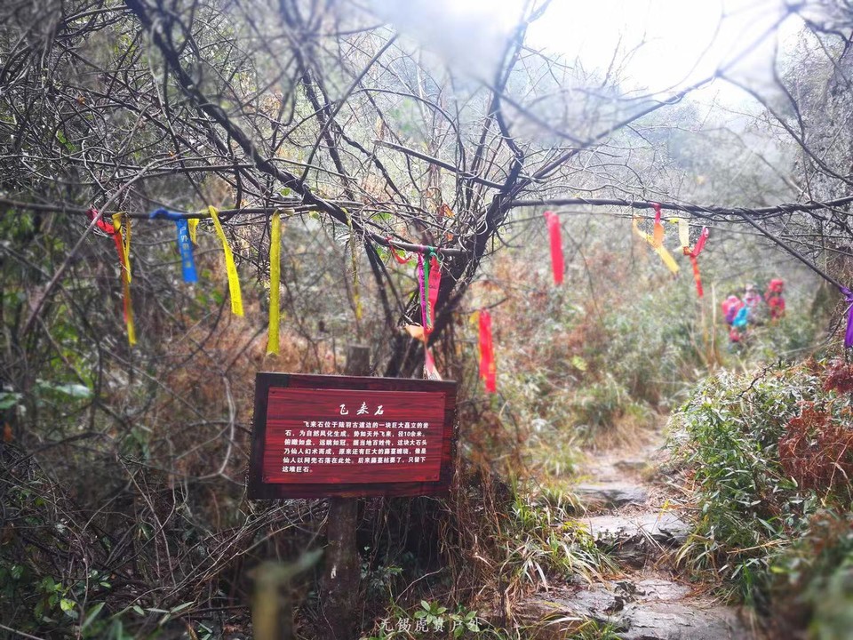 微信图片_20190303170813