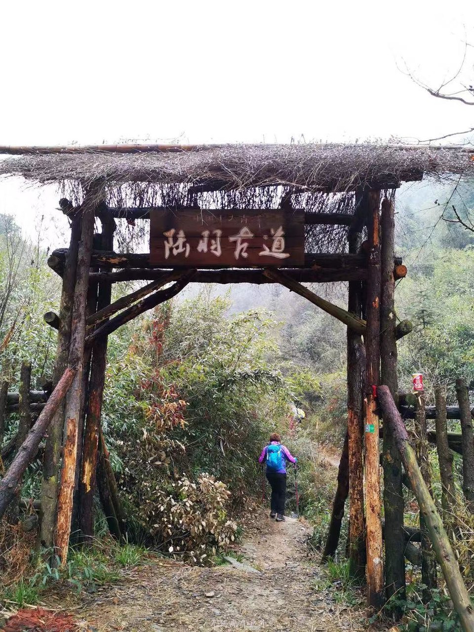 微信图片_20190303170844