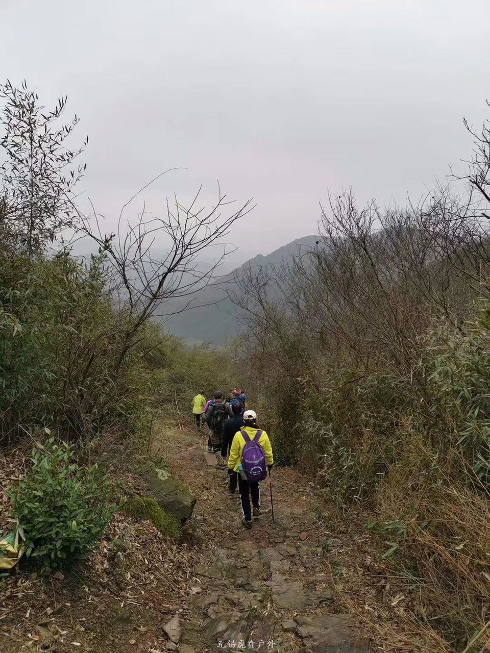 微信图片_20190303170855