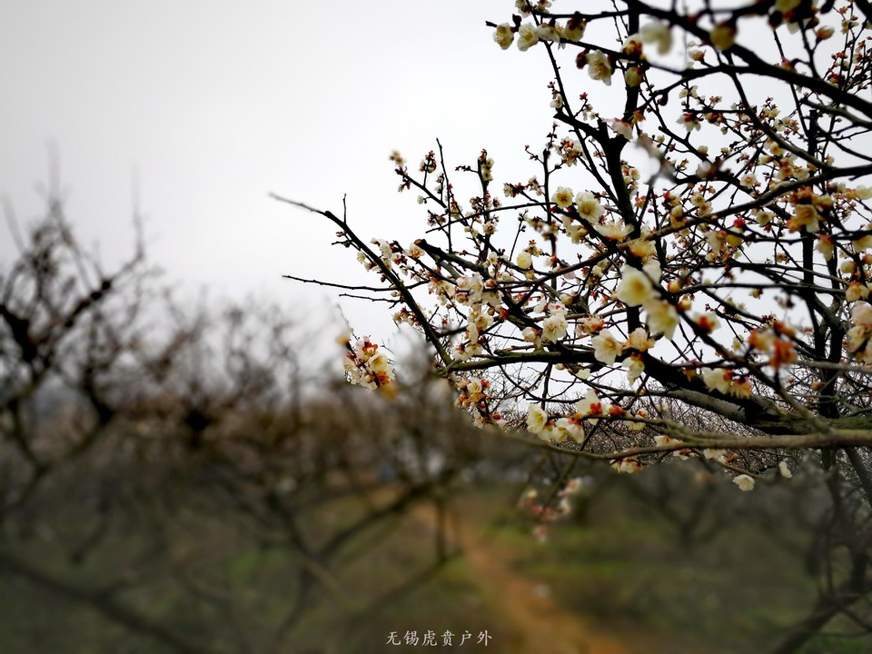 微信图片_20190303205750