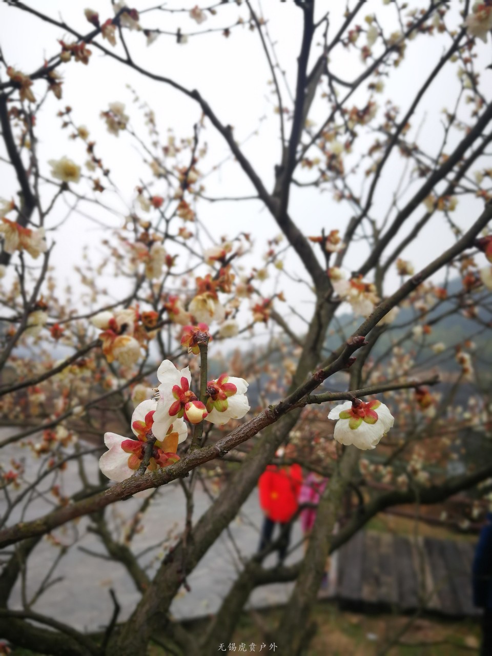 微信图片_20190303205807