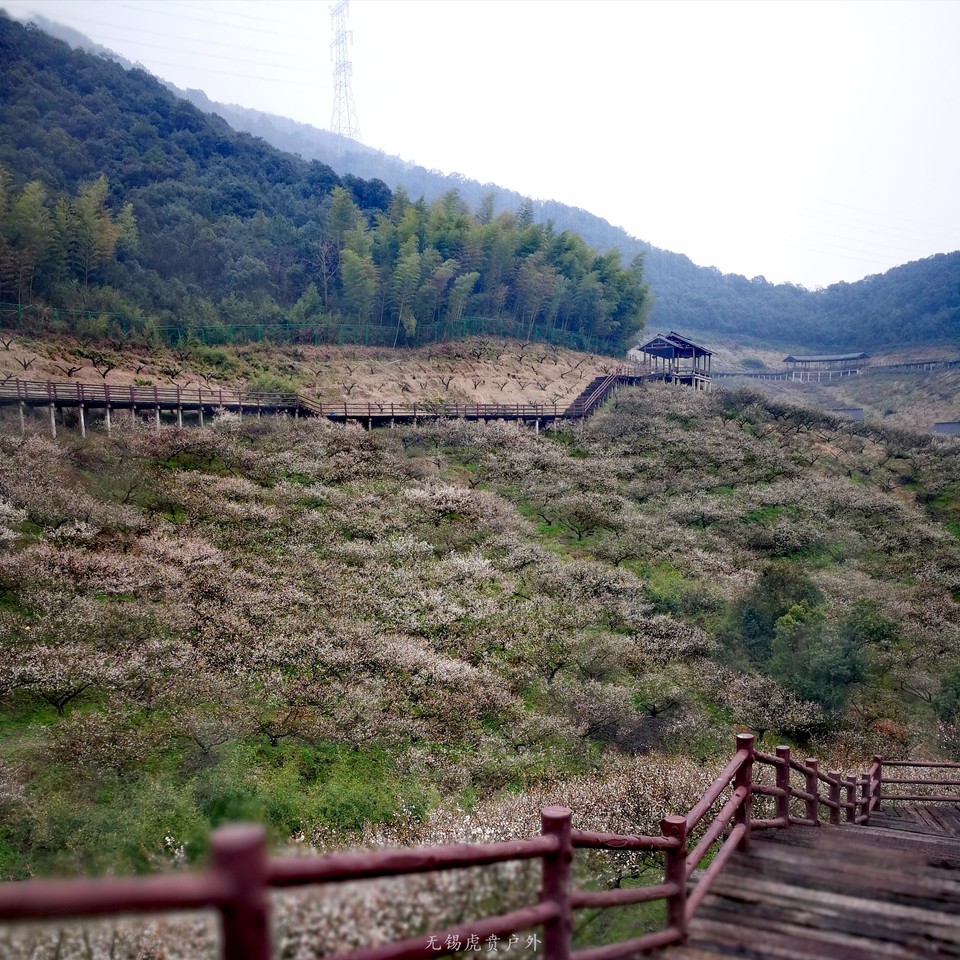 微信图片_20190303205822