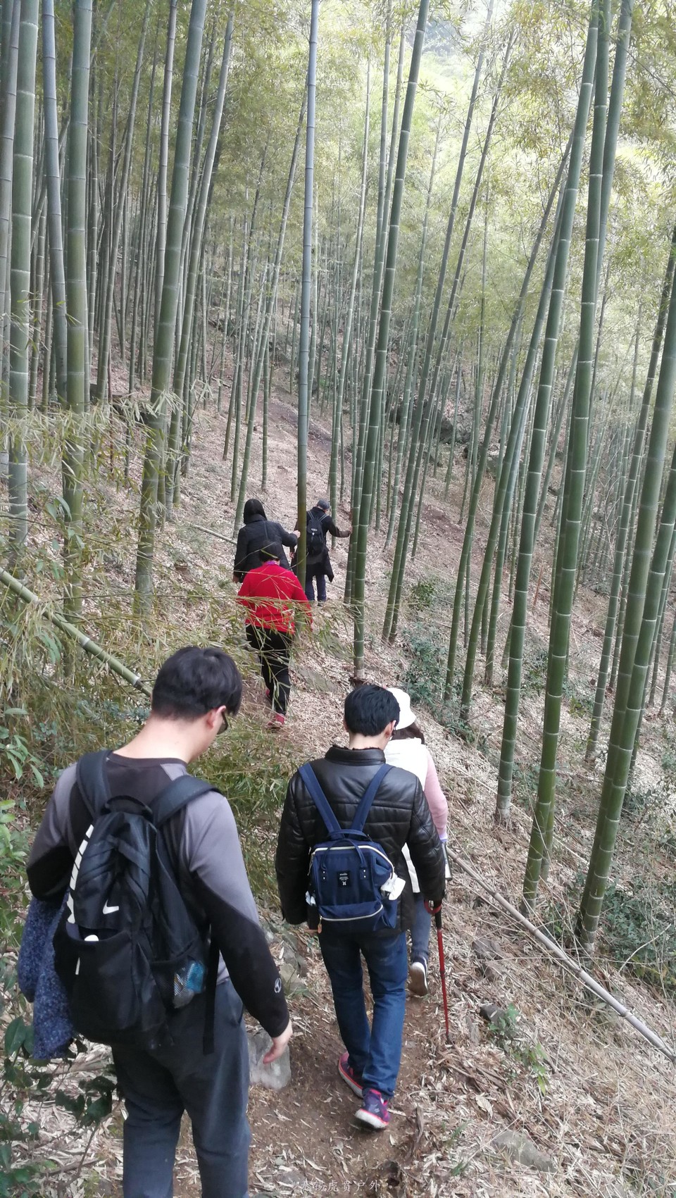 微信图片_20190309181310