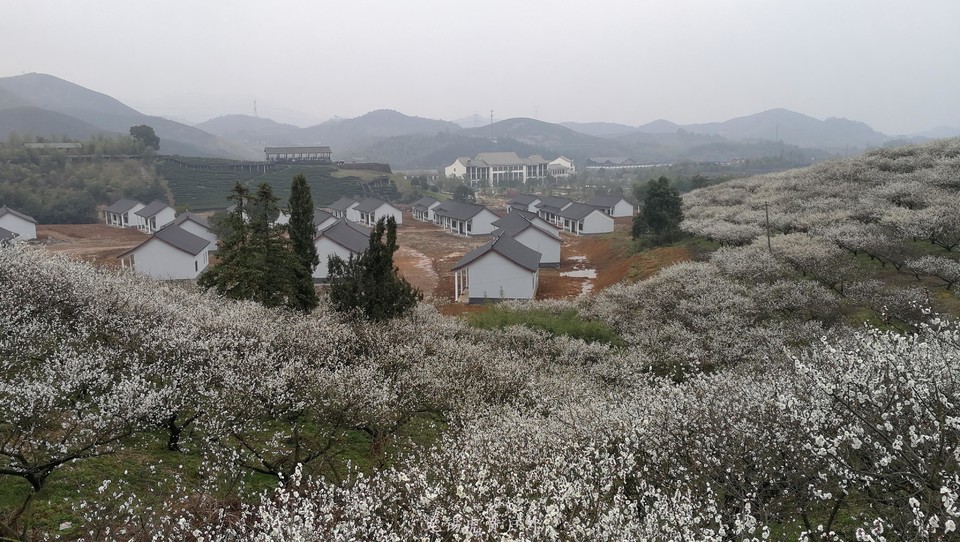 微信图片_20190309182247