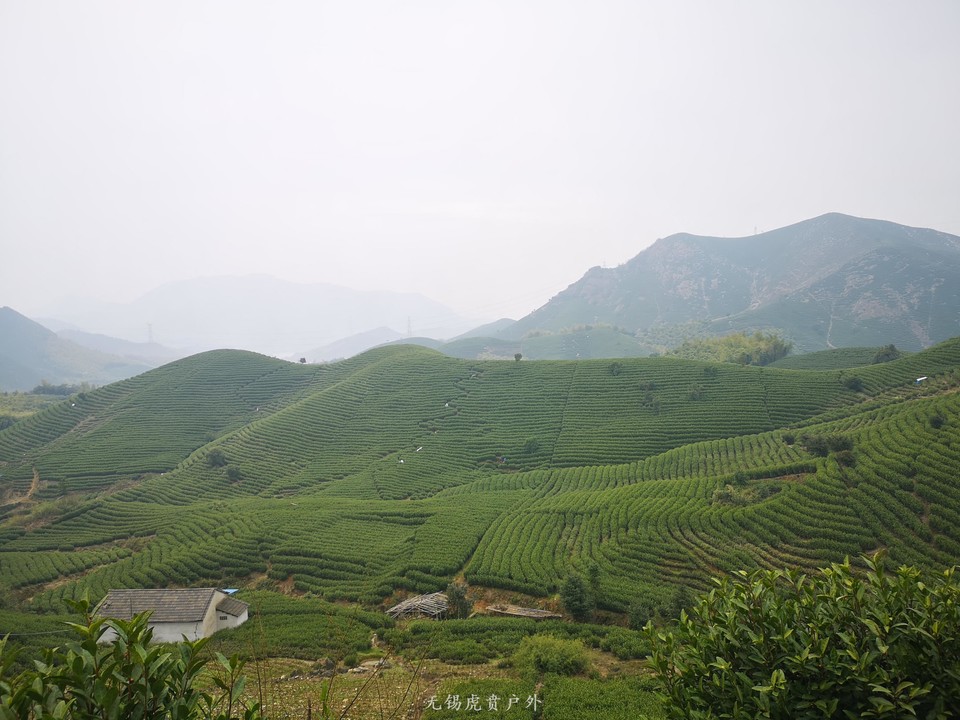 微信图片_20190309182329