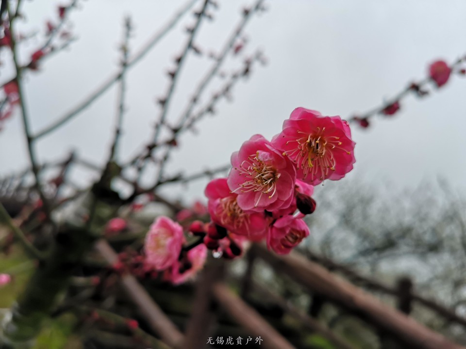 微信图片_20190309182348