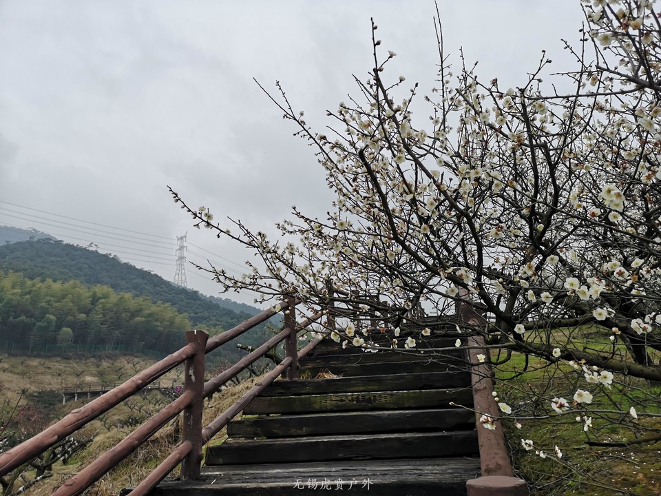 微信图片_20190309182405