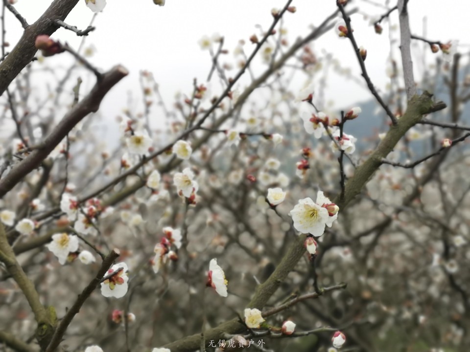 微信图片_20190309182415