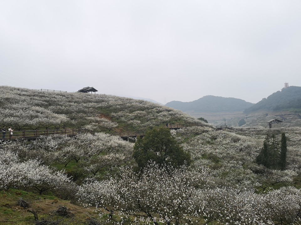 微信图片_20190309182500