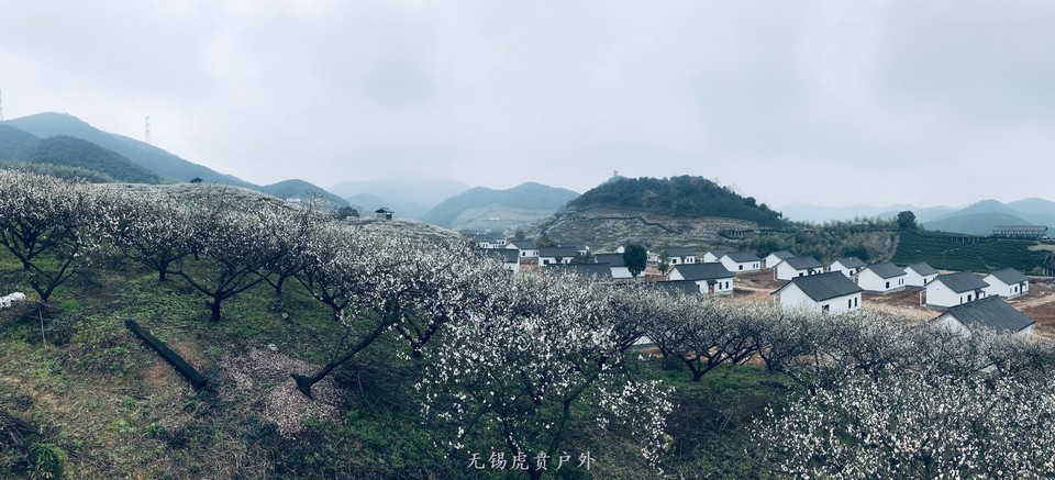 微信图片_20190309182541