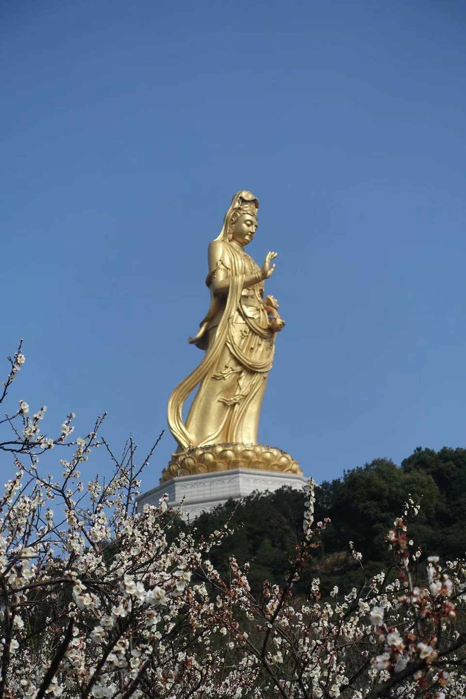 微信图片_20190311094222