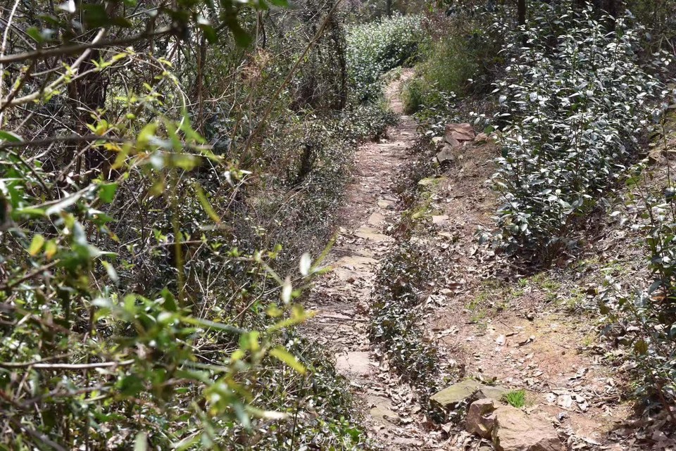 微信图片_20190311094224