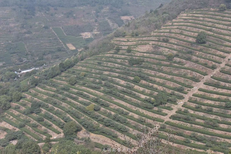 微信图片_20190311094227