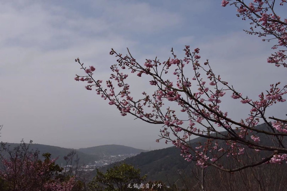 微信图片_20190311094232